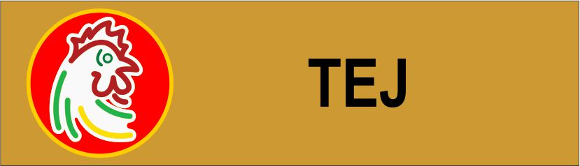 FastFood-13 name tag design